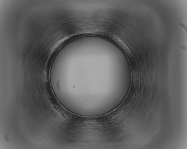 X0000091460628200709131734