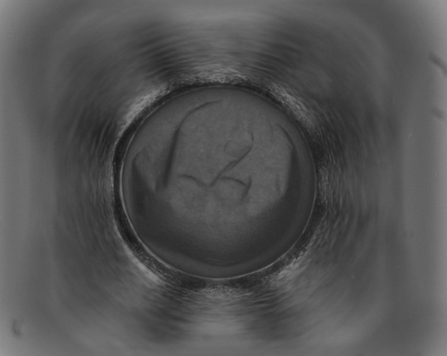 X0000091460630200709131734