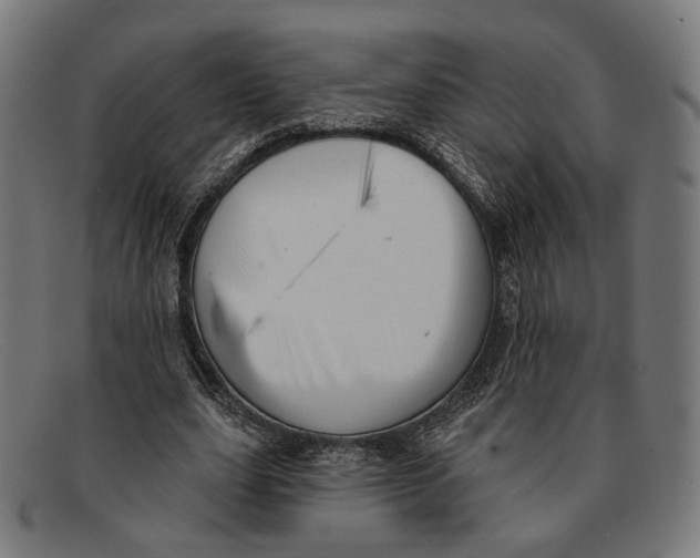 X0000091460631200709131734