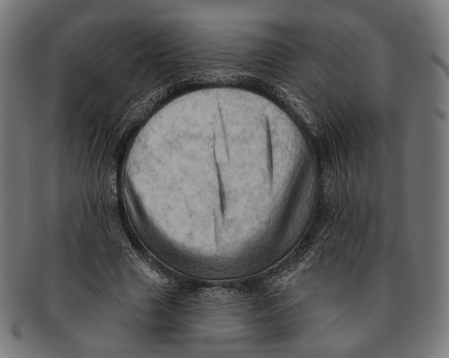 X0000091460633200709131734