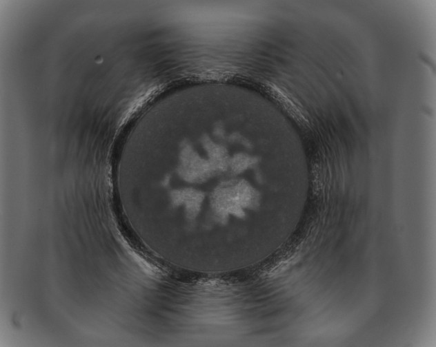 X0000091460634200709131734