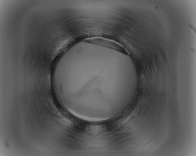 X0000091460638200709131734
