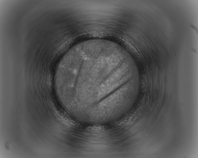 X0000091460639200709131734