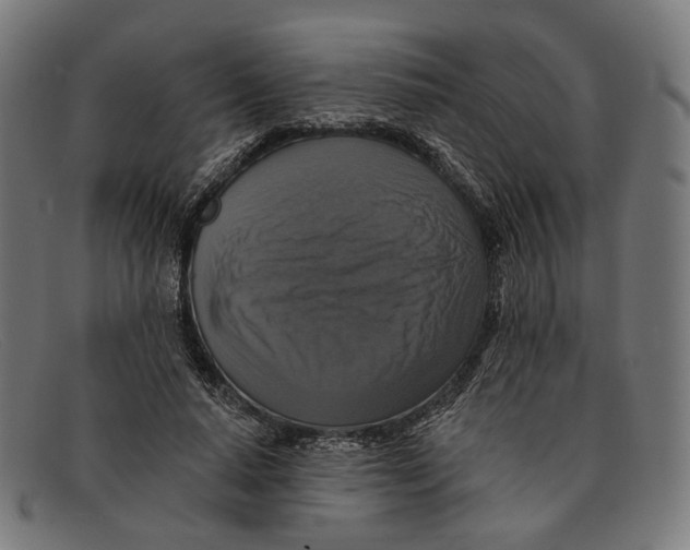 X0000091460640200709131734