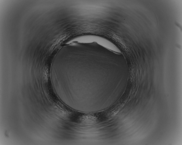 X0000091460644200709131735