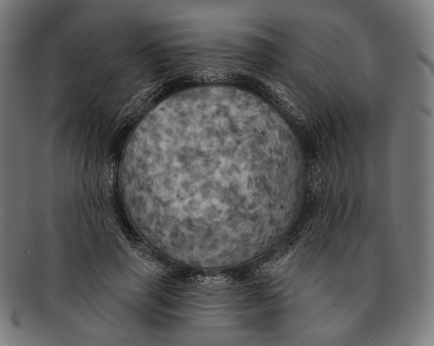 X0000091460645200709131735