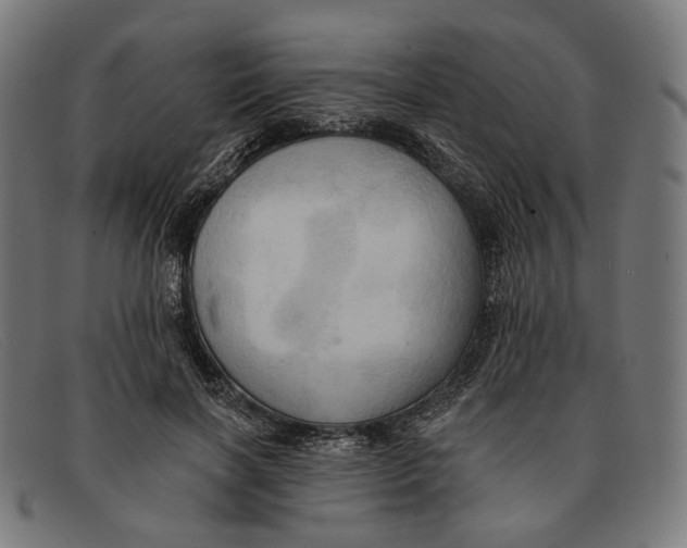 X0000091460646200709131735