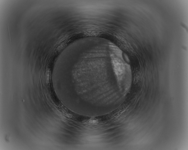 X0000091460647200709131735