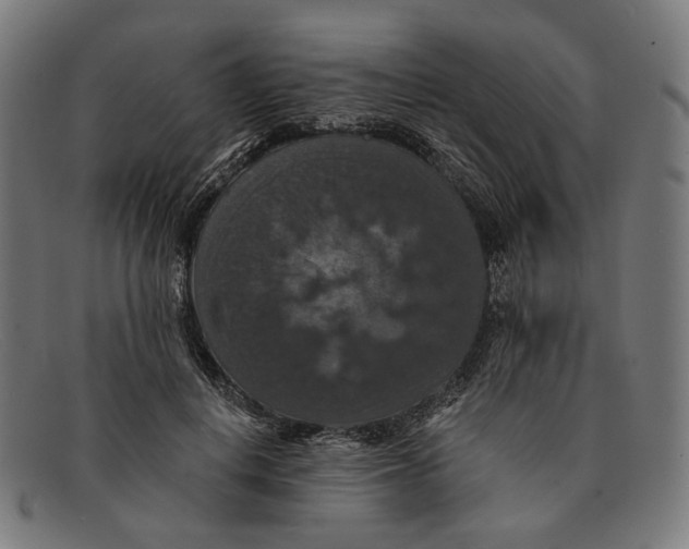 X0000091460648200709131735