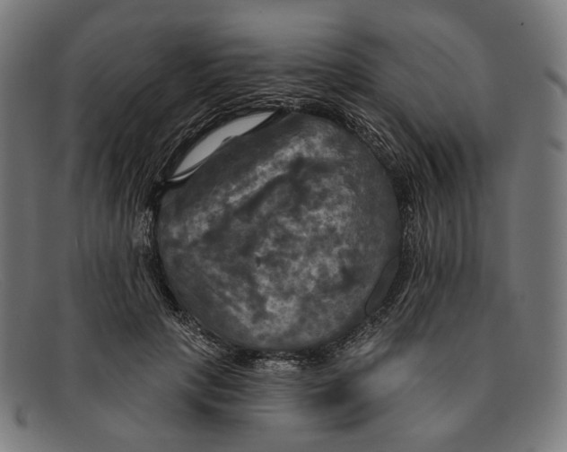X0000091460649200709131735