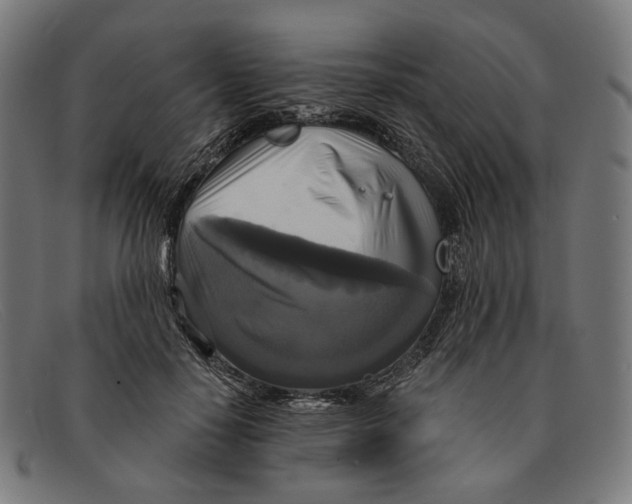X0000091460650200709131735