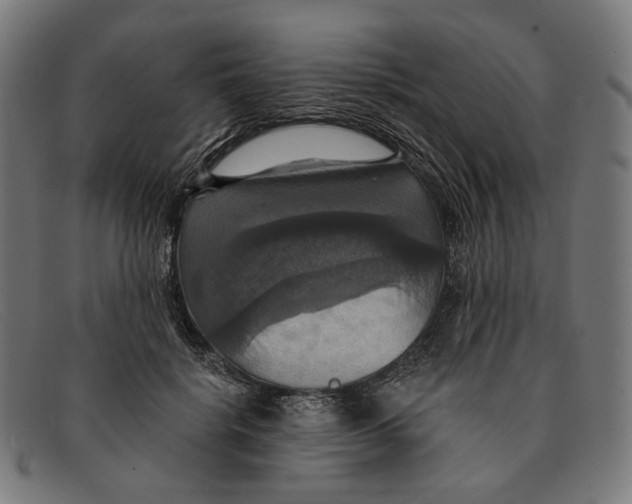X0000091460652200709131735
