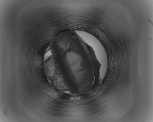 X0000091460653200709131735