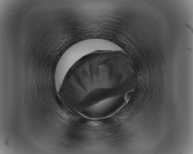 X0000091460654200709131735