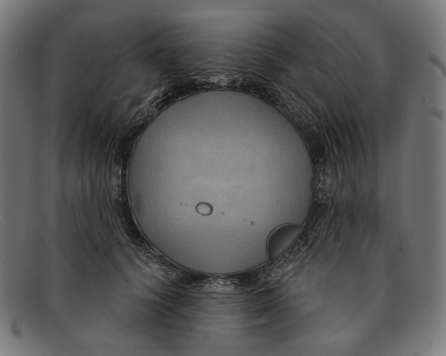 X0000091460656200709131735