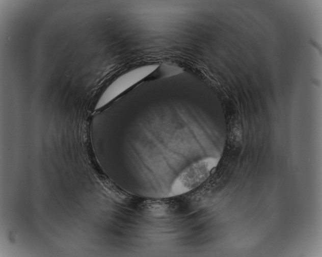 X0000091460658200709131735
