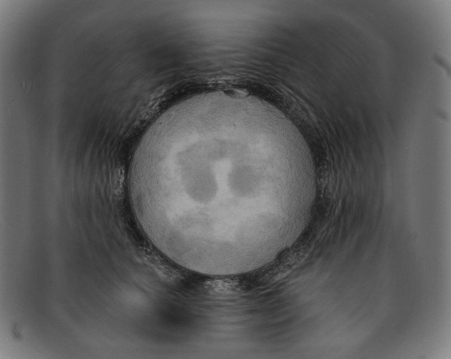 X0000091460660200709131735