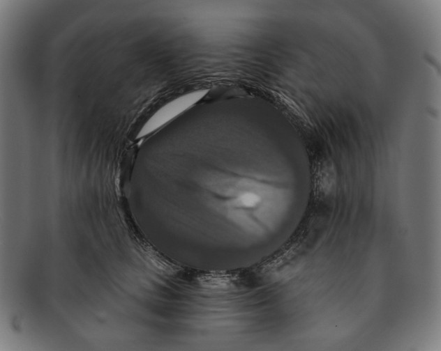 X0000091460661200709131735