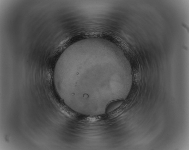 X0000091460662200709131735
