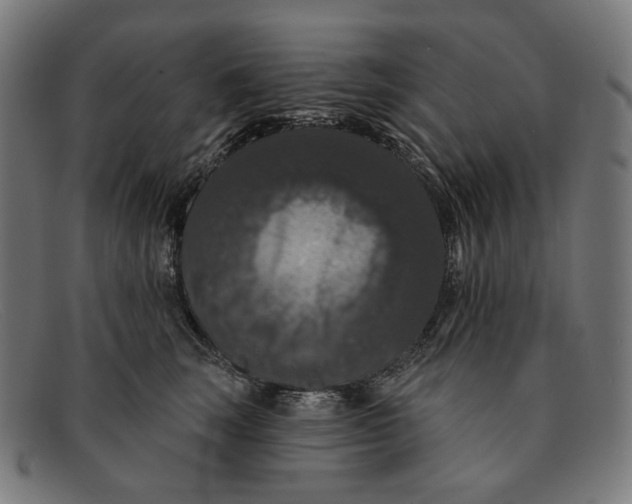 X0000091460663200709131735