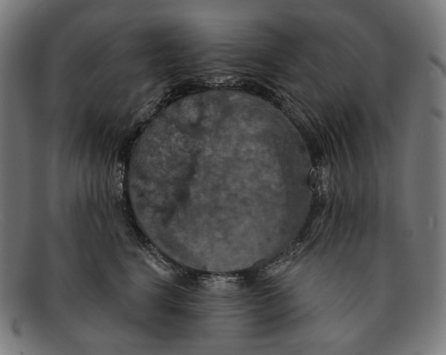 X0000091460664200709131735