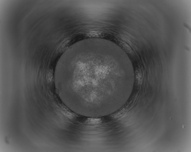 X0000091460665200709131735