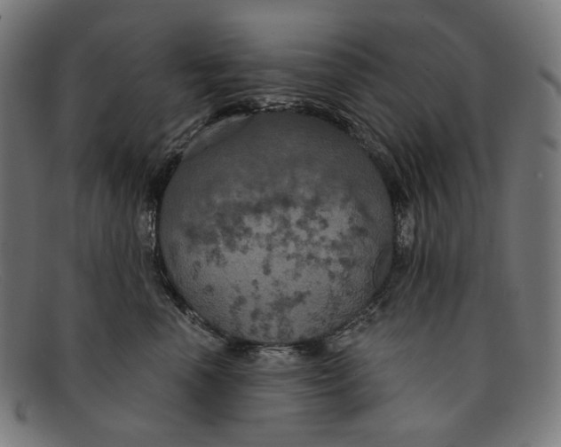 X0000091460666200709131735