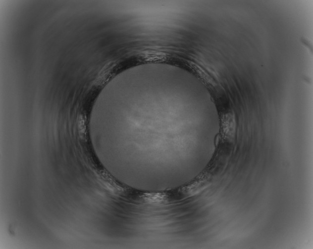 X0000091460667200709131735