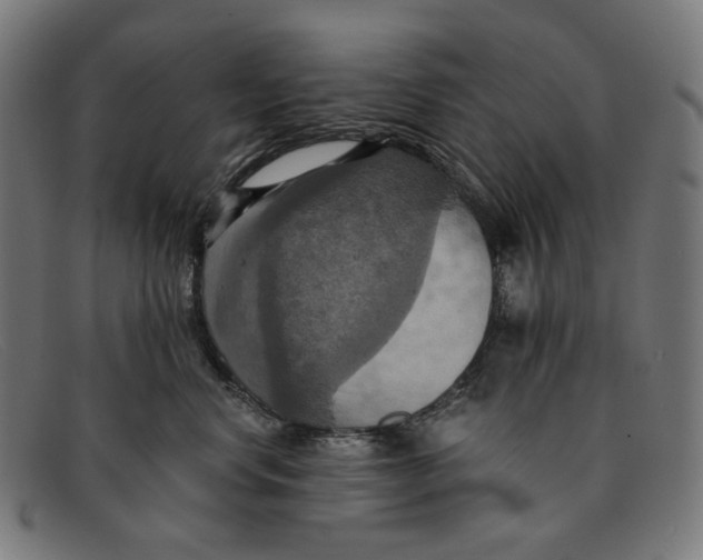 X0000091460668200709131735