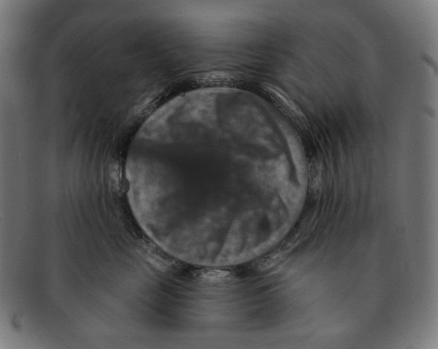 X0000091460669200709131735