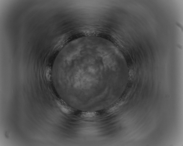 X0000091460671200709131735