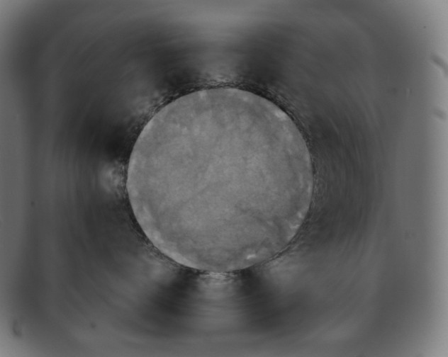 X0000091460672200709131735