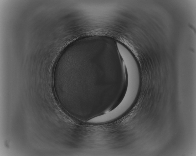 X0000091460673200709131734