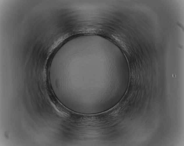 X0000091460674200709131734
