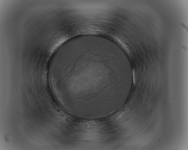 X0000091460675200709131734