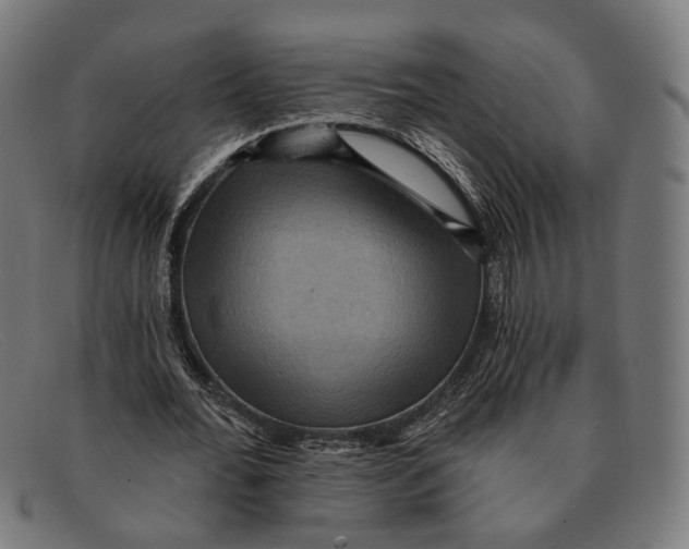 X0000091460676200709131734