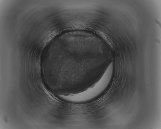 X0000091460677200709131734