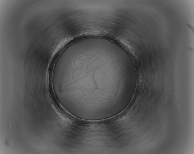X0000091460678200709131734