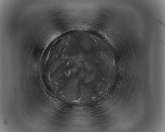 X0000091460679200709131734
