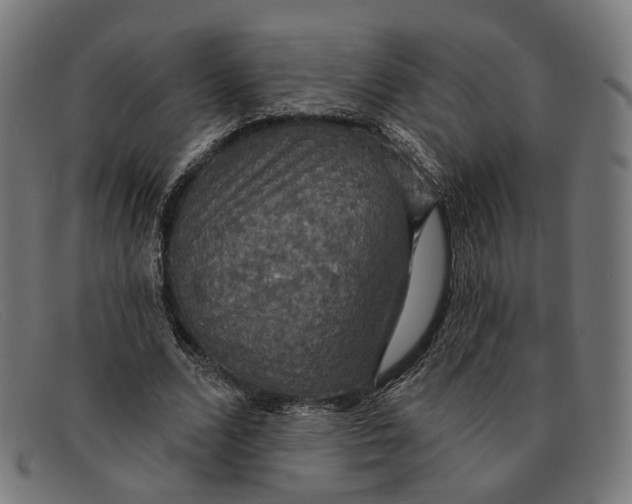 X0000091460680200709131734