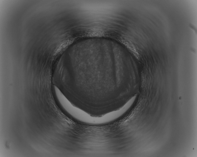X0000091460681200709131734