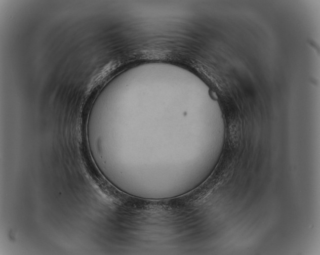 X0000091460682200709131734