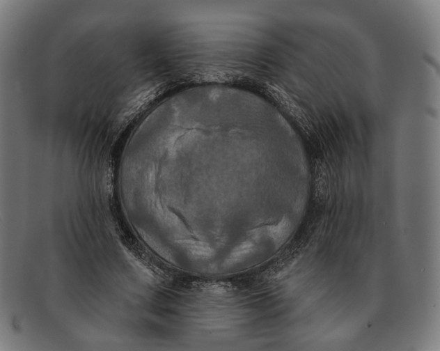 X0000091460683200709131734