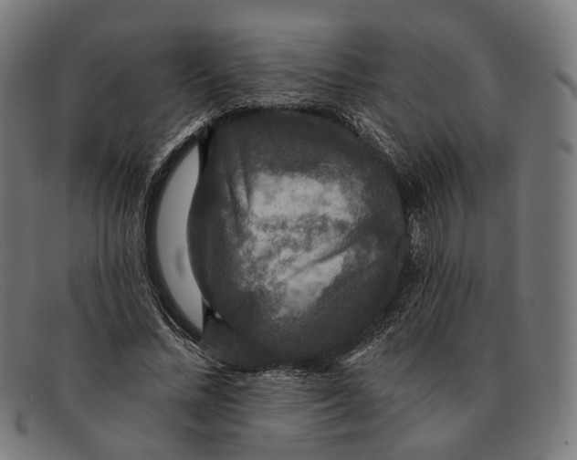 X0000091460684200709131734