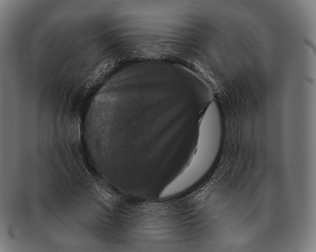 X0000091460685200709131734