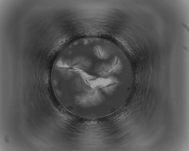 X0000091460687200709131734