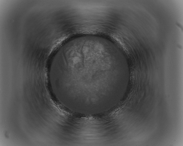 X0000091460688200709131734