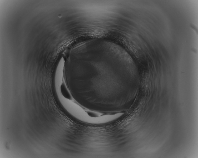X0000091460689200709131734