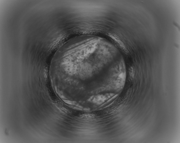 X0000091460691200709131734