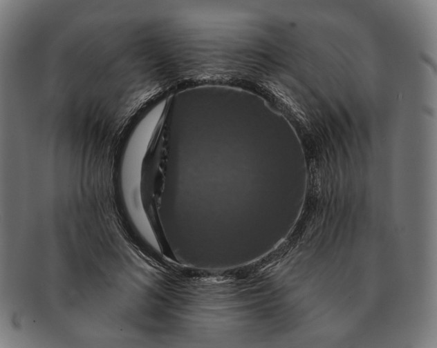 X0000091460692200709131734